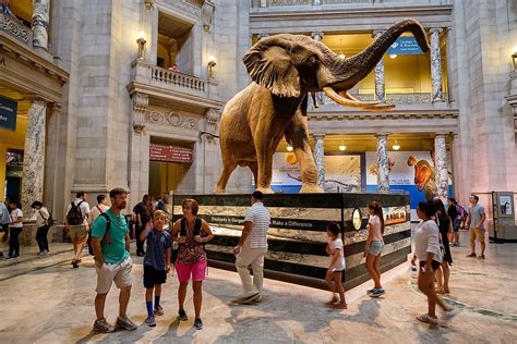 10 Best Natural History Museums Around The Globe Worldatlas