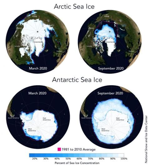 Cryospheric Sciences Did You Know The Differences Between Arctic And Antarctic Sea Ice