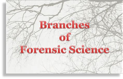Branches Of Forensic Science Forensics Blog