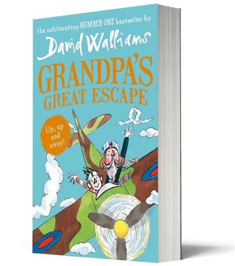 Grandpa S Great Escape The World Of David Walliams