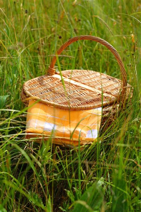 Picnic Basket Stock Photo Image Of Grass Napkin Meadow 20111292