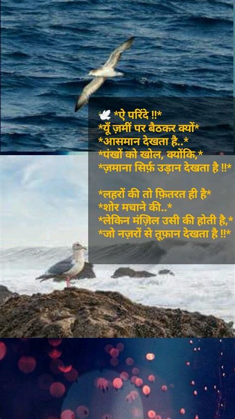 Pin by P K Jayaswal on कल सहतय परकत और नर Poster Nature