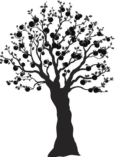 Fruit Tree Silhouette Clip Art Images And Photos Finder