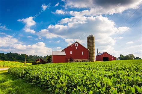 Beautiful Farm Field And Barn On A Farm Near Spring Grove