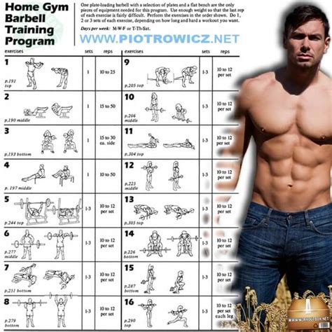 Home Gym Barbell Training Program Full Body Workout Plan 6pack Full