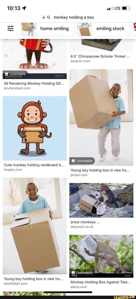 Oo Lte Q Monkey Holding A Box Home Smiling Smiling Stock 65