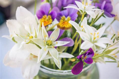 Bouquet Of Spring Flowers Wood Anemones With Violet And Wild Onion