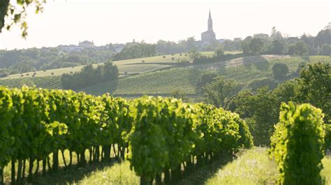 The 6 Wine Regions Of Bordeaux Bordeaux Tourism And Conventions