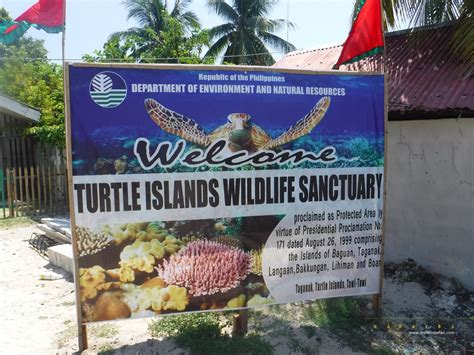Turtle Islands In Tawi Tawi A Paradise For Marine Turtles My
