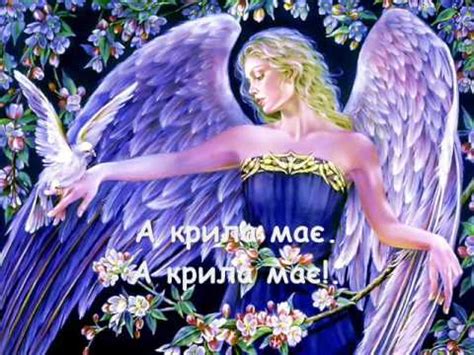 Землі немає, то буде небо. відеопоезія "Крила" Ліна Костенко - YouTube