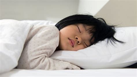 2) cara tidur sehat yang kedua ialah selalu tidur dan bangun pada waktu yang tepat. 6 Alasan Penting untuk Membiasakan Anak Tidur Lebih Awal ...