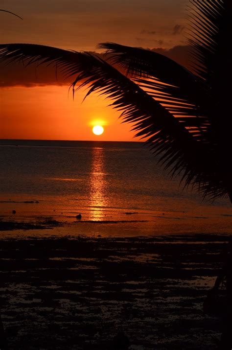 Tropical Palmy Sunset Beach Scenery Beautiful Sunset Fantasy Landscape