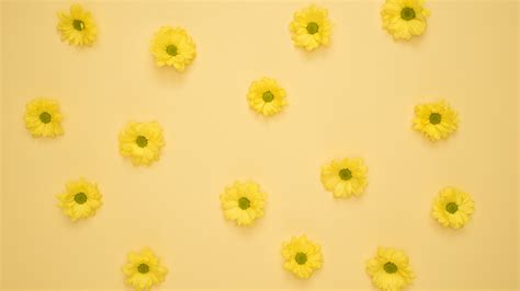 Yellow Happy Daisy Floral Macbook Desktop And Laptop Wallpaper