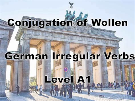 Wollen Conjugation German Irregular Verb