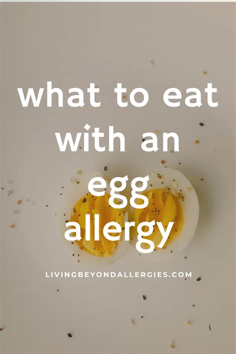 Allergic To Eggs This Guide Will Help You Learn Everything You Need To