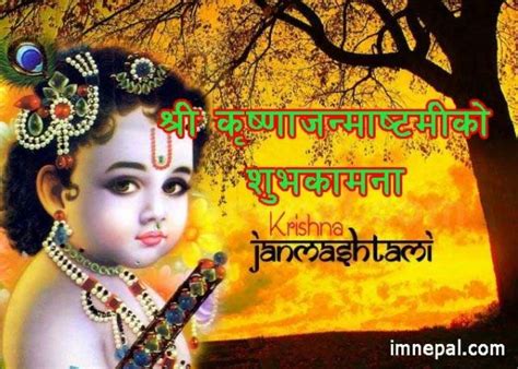 43 Krishna Janamashtami Wishes Quotes In Nepali Language