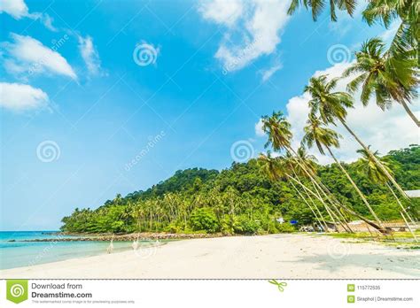 beautiful tropical beach and sea with coconut palm tree in paradise island stock image image