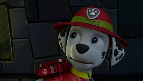 Marshall The Dalmatian Paw Patrol Photo 40125881 Fanpop