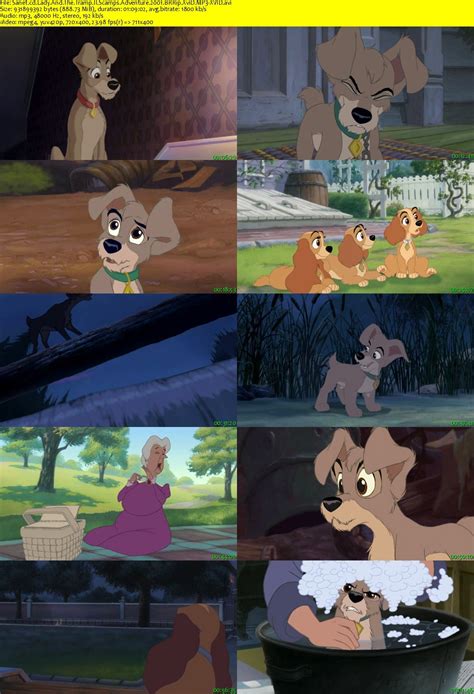 Download Lady And The Tramp Ii Scamps Adventure 2001 Brrip