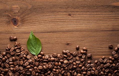 Coffee Bean Wallpapers Wallpaper Cave
