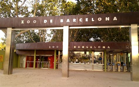 Barcelona Zoo Tickets Skip The Line