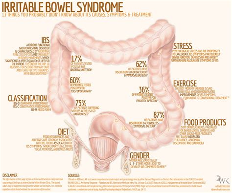 Irritable Bowel Syndrome Causes Symptoms And Treatment Earths Lab