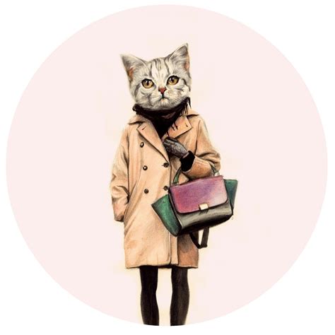 Coolrista Модная кошечка Fashion Cat