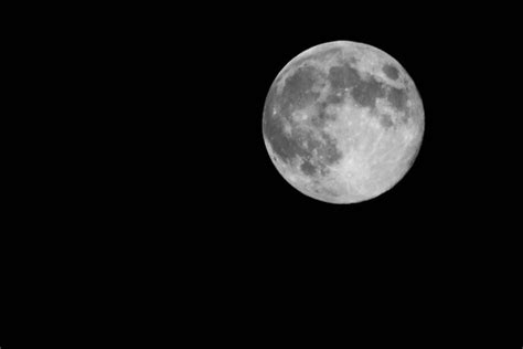 Black And White Full Moon 225365 Flickr Photo Sharing