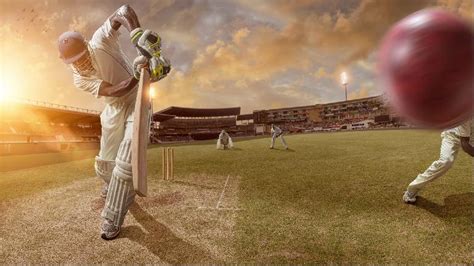 Cricket Player Windows Themes