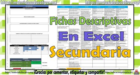 Fichas Descriptivas De Secundaria En Excel Para Secundaria Material