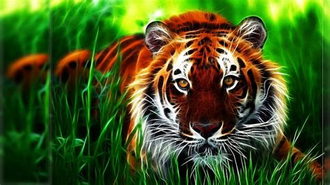 Royal Bengal Tiger In Sundarban 1920x1080 Hd Wallpaper Pxfuel
