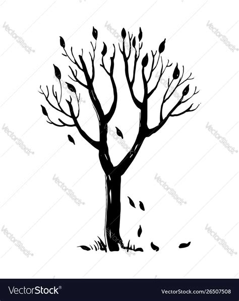 Fall Leaves And Tree Clip Art Black And White Png Clipart