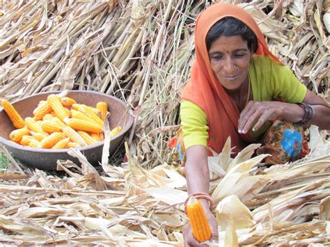Funding Landscape Of Sustainable Livelihoods India Development Review