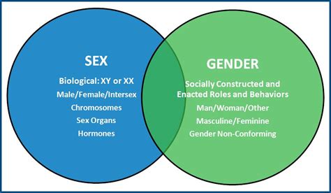 Venn Diagram Of Gender And Sexuality Studying Diagrams