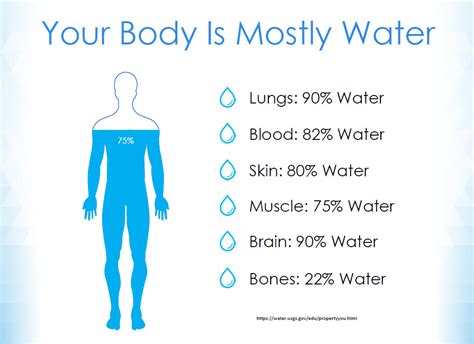 How Much Water Do You Need Multipure