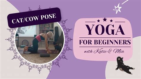 Cat Cow Pose Tutorial All Levels Yoga Pose Back Stretch Spine Mobility Youtube
