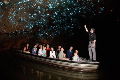 Waitomo Glowworm Caves Starry Night Sky Night Skies Natural Wonders