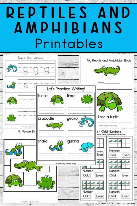 Reptiles and Amphibians Printables - Simple Living. Creative Learning