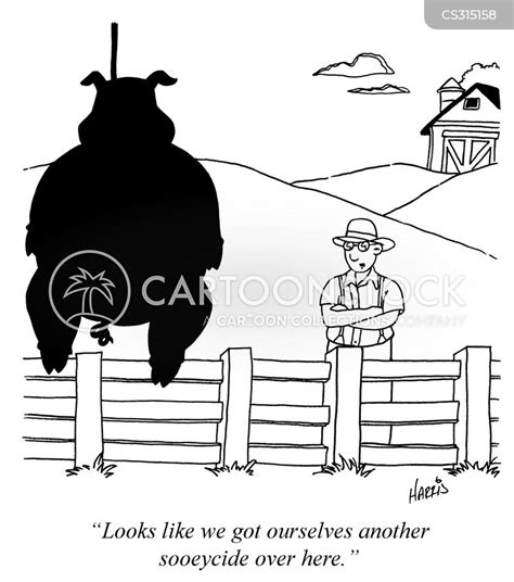 Pig Farmer Cartoons And Comics Funny Pictures From Cartoonstock