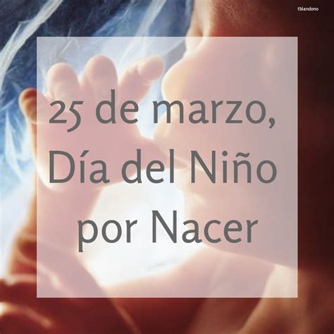 Salud 25 De Marzo Día Del Niño Por Nacer Frases Positivas Frases