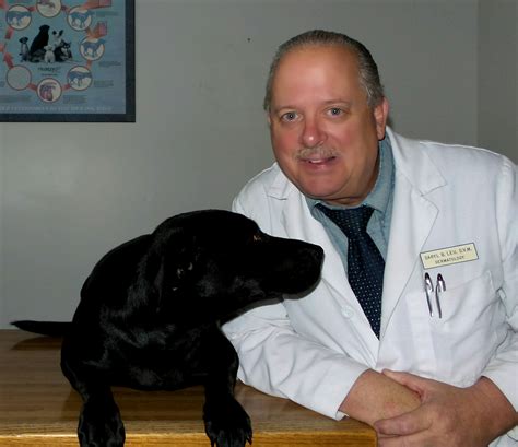 Our Doctor Animal Dermatology Clinic