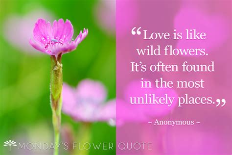 Maybe you would like to learn more about one of these? Love is like wild flowers | Flower Quote | Floating Petals