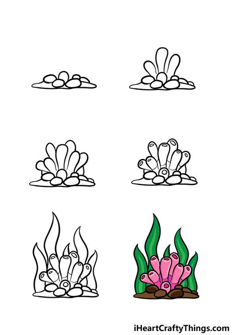 How To Draw Coral A Step By Step Guide Coral Drawing Coral Reef
