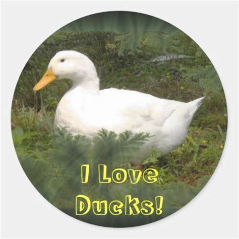 I Love Ducks Stickers Zazzle