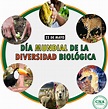 Día mundial de la Diversidad Biológica - Confederación Nacional Agraria