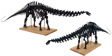 Apatosaurus Skeleton Model 112th Scale Gaston Design Inc