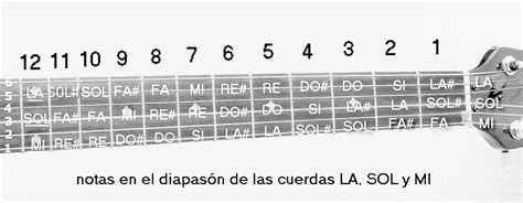 Aprende A Tocar Guitarra Facilmente UbicaciÓn De Las Notas En La Guitarra