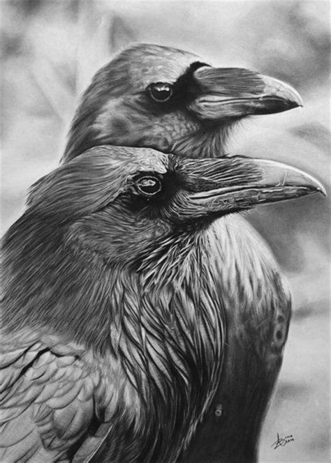 And it was done last year for a competition. 124 best images about Ravens & Crows photos on Pinterest ...