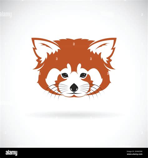 Vector Of Red Panda Head Design On White Background Wild Animals Easy
