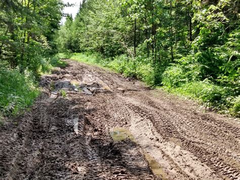 Limestone Trail Hawks Receive Grant For Major Upgrades To Atv Trail